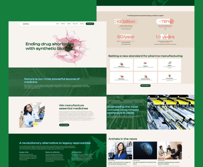 Antheia — Web Development project by Prograsec