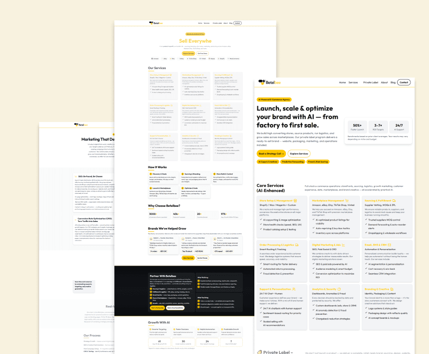Betelbee — partner-agency project showcase